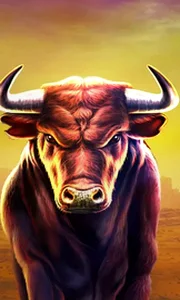 Black Bull